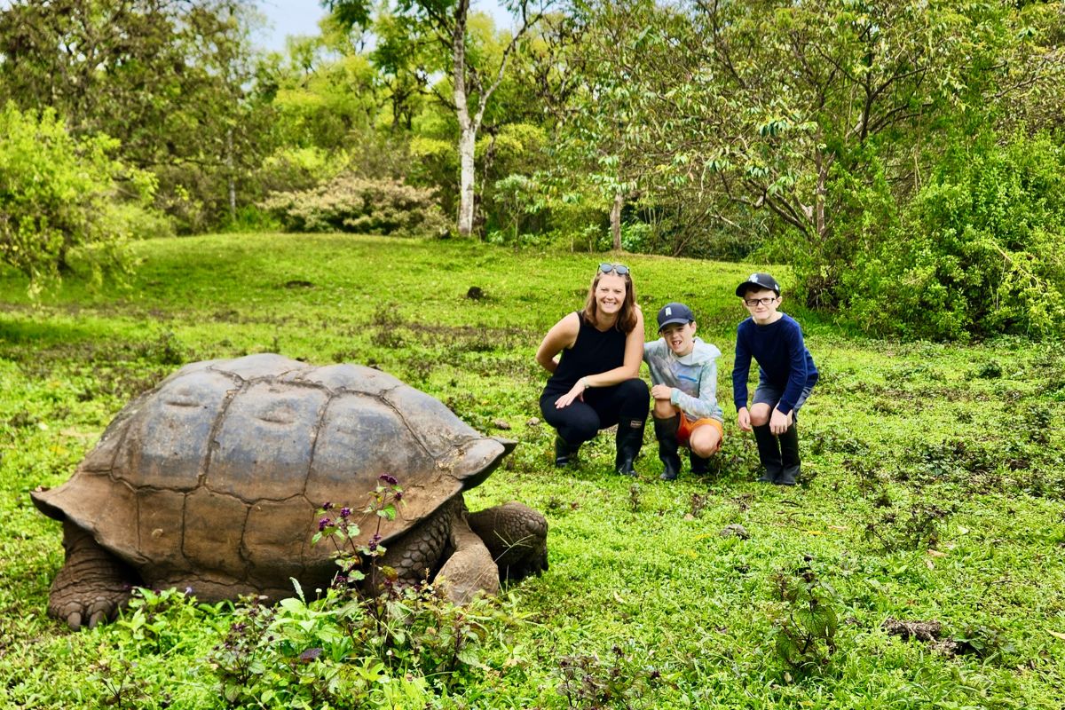 Discover The Magic Of The Famous Galapagos Tortoises