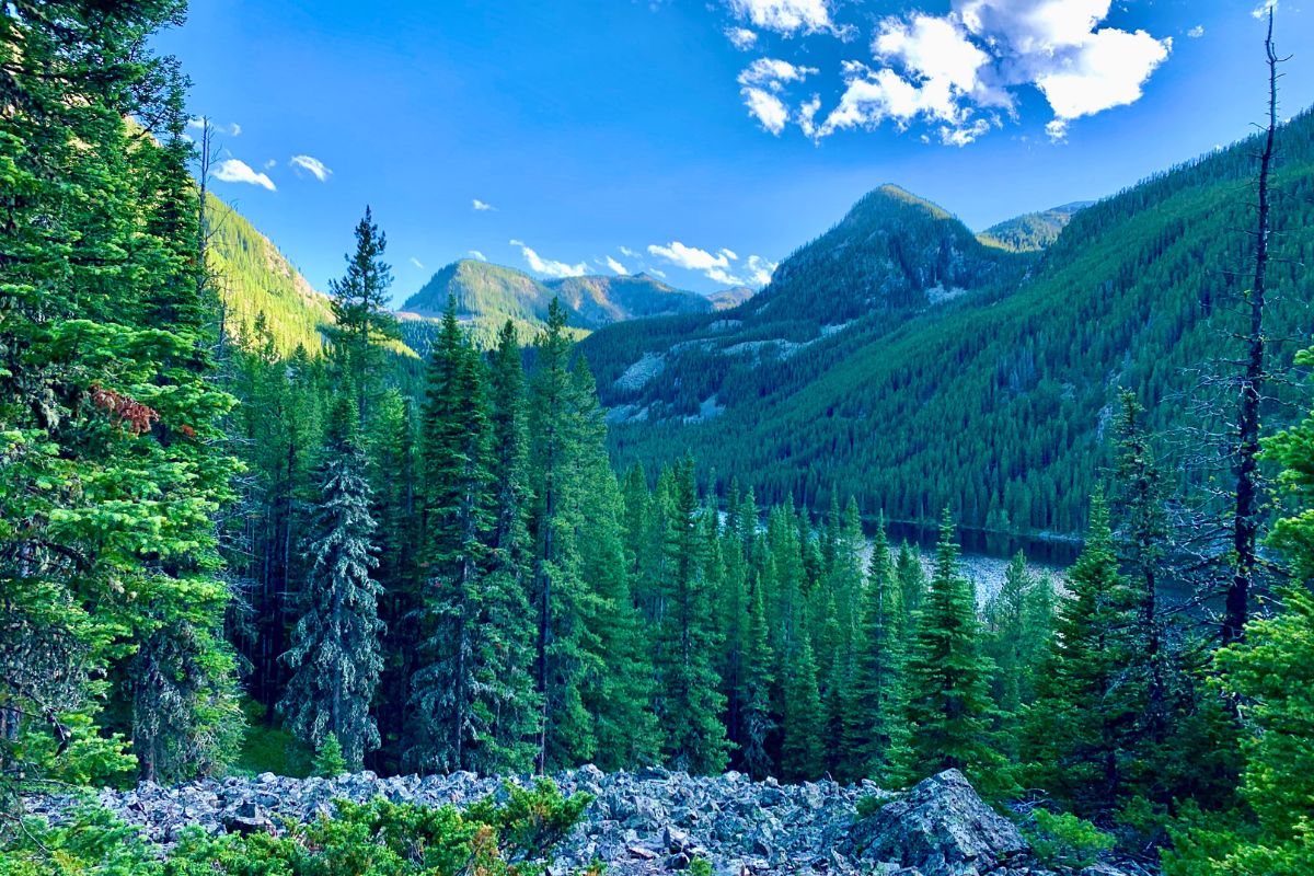 Best Hikes In Bozeman, Montana For All Skill Levels