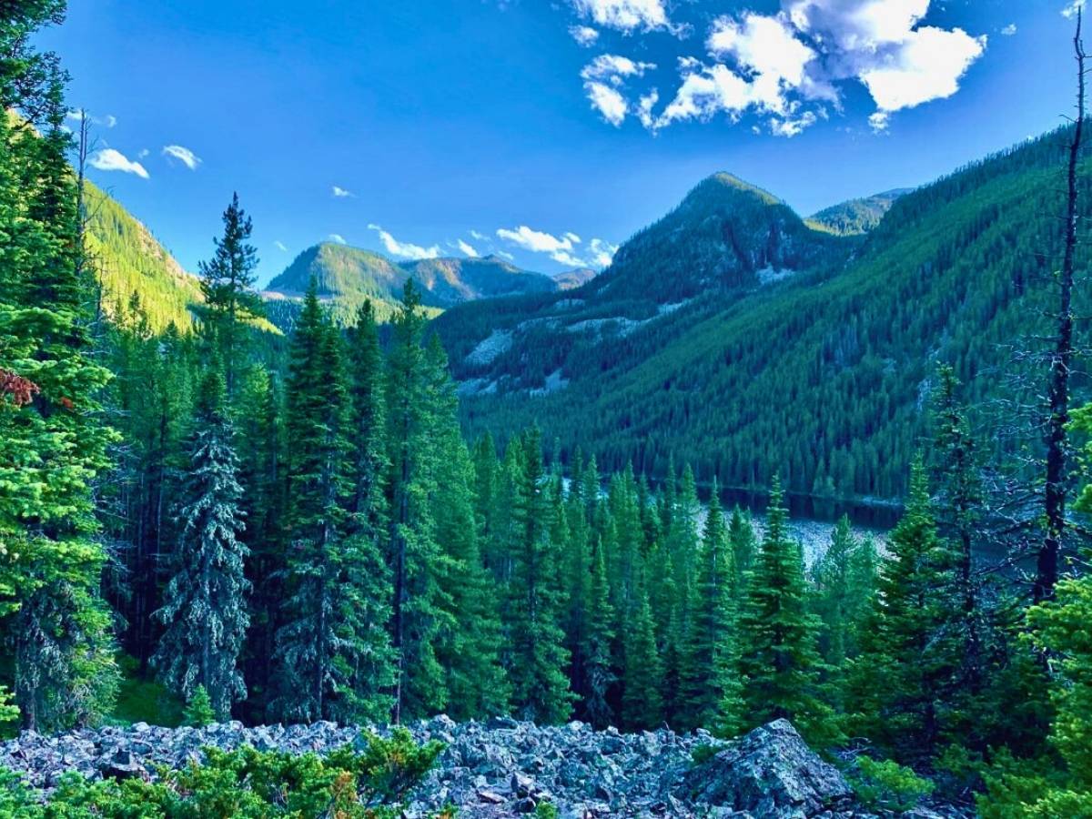 Best Hikes In Bozeman, Montana For All Skill Levels