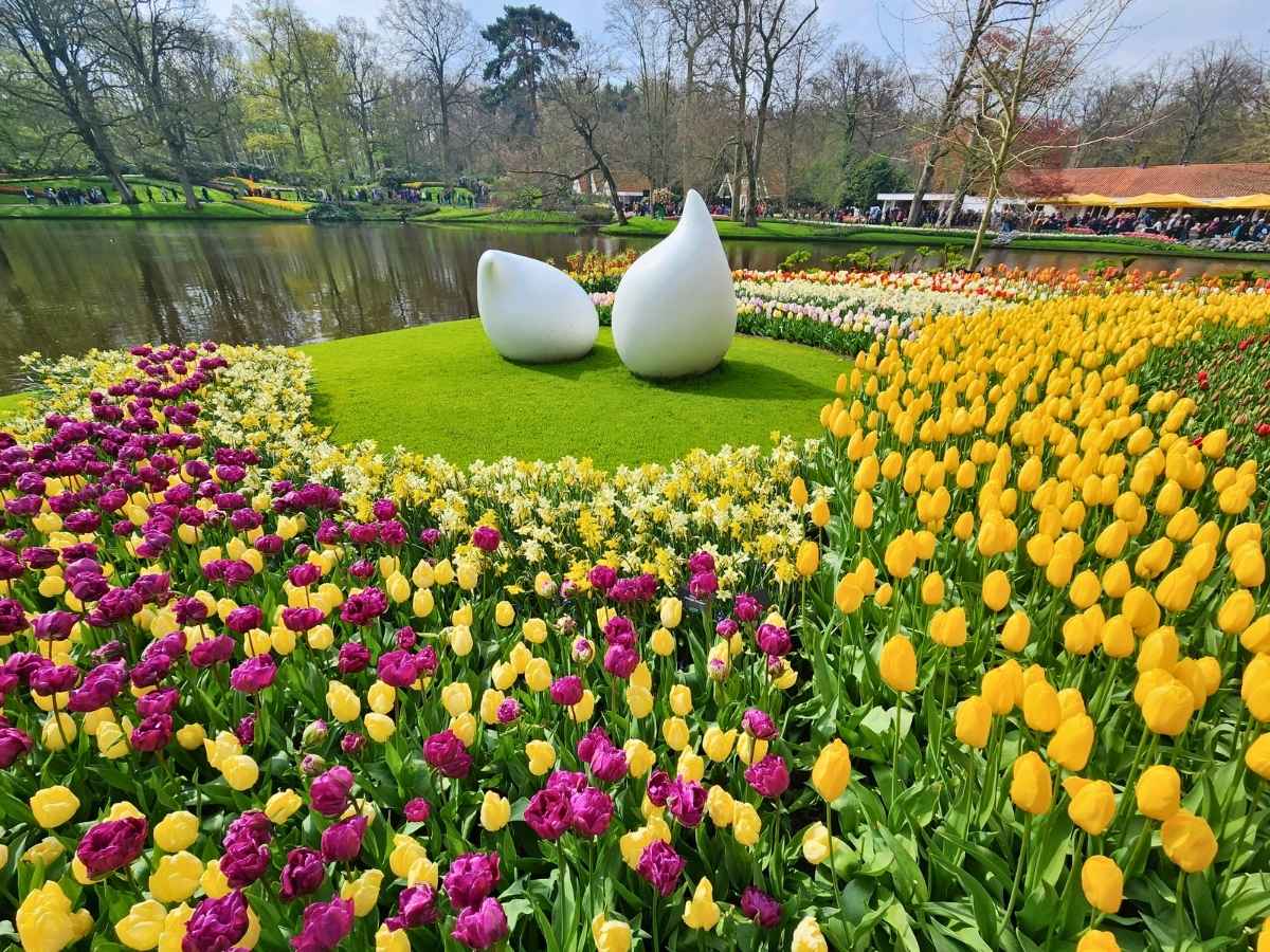 Everything You Need To Know To Visit Keukenhof Gardens In 2026